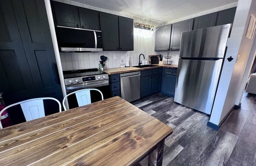 Lake City Condo | Silver Street Condos - Unit 2 - Explore the Alpine Loop 🏔️🥾🎣