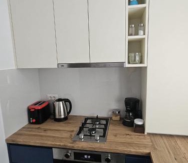 Radauti Apartment | Silvery Studio 22