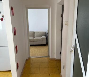 Targu Trotus Apartment | Silviu House