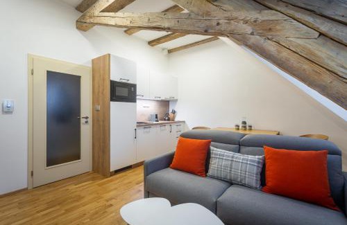 Bozi Dar Apartment | Simba Boží Dar by Mountain ways