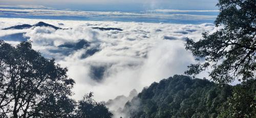 Almora Cabin | Simba Jungle Lodge, Binsar Wildlife Sanctuary