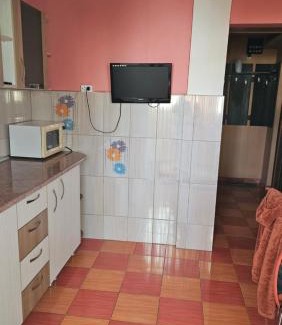 Curtea De Arges Apartment | Simona
