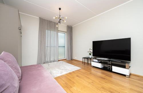 Lasnamae Apartment | Simple Stay at Katusepapi