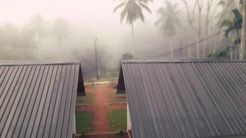 Kotapola Cabin | Sinharaja Forest Sanctuary
