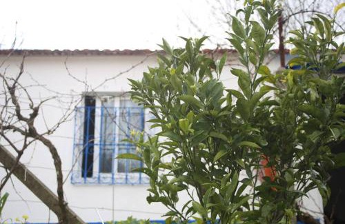 Algueirao - Mem Martins Apartment | Sintra Nomad Lodge