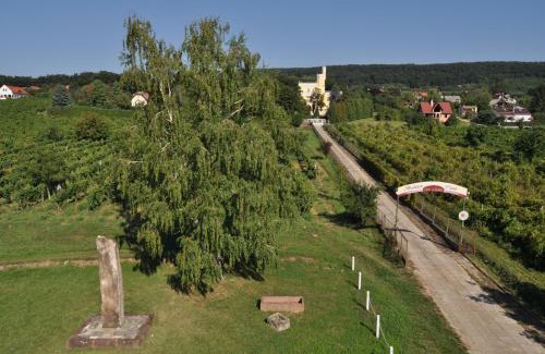 Balatonszepezd Ski Chalet | Sir David Balaton Castle Apartmanok