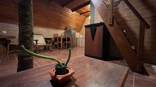 Habaraduwa Villa | Siri Villa Cabana Habaraduwa
