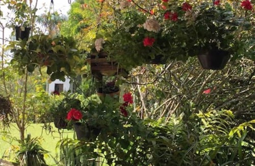 Sao Roque House | Site near the Wine Road