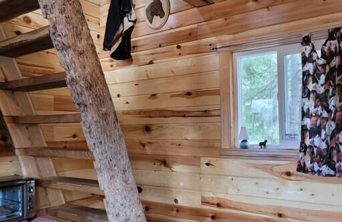 Kenora Cabin | Site17-18 Glamping Bunkie & Tent-Small Urban Farm