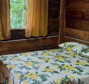 Morro Reuter House | Sitio Holistico Natureza Sanadora