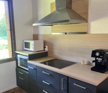 Seyne Apartment | Six Duplex à la montagne POMPIERY