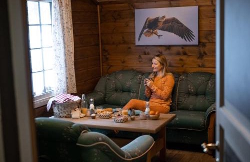 Vaga Ski Chalet | Sjodalen Hyttetun og Camping