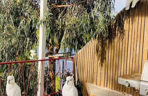 Skenes Creek House | Skenes Creek Beach Retreat Free Wi-Fi Ocean views.