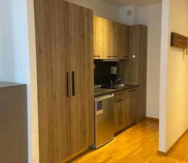 Kopaonik Apartment | SKI GONDOLA & FREE PARKING apartment