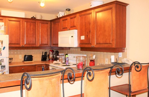 Salt Lake Mountain Resorts Condo | Ski in, Ski out 2 Bedroom condo. Large deck for Summer
