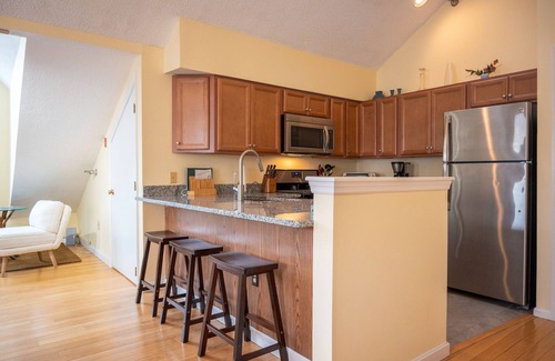 Ludlow Condo | Ski in/Ski out nicely updated 2 BR condo on Okemo Mountain ski trails.