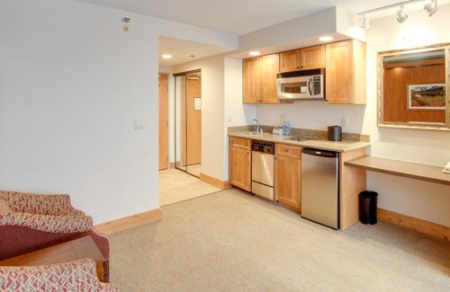 Crested Butte Apartment | Ski-InandSki-Out Crested Butte Studio with Pool Access