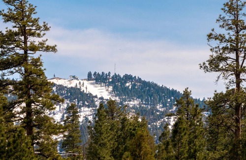 Whispering Forest House | Ski Queen Lodge