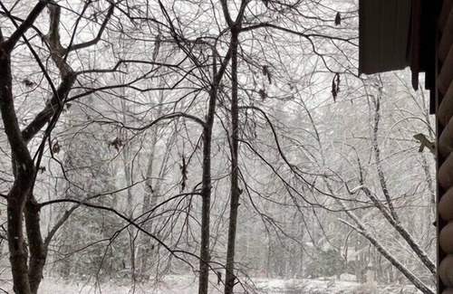 South Casco Cabin | Ski & Stay-25 min to Shawnee Peak Access to Big Sebago Fishing/Ice Fishing