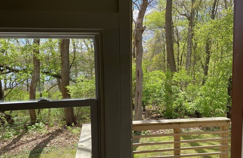 Three Rivers Cottage | Skinny Dipper Cottage - Lakefront on Semi-private Lake, Beach, Boats, Fun!