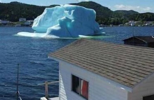 Point Leamington Cottage | Skipper's View Cottage by the Sea - Pet Friendly!