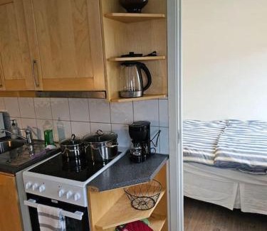 Rasta Apartment | skyline flat with free parking