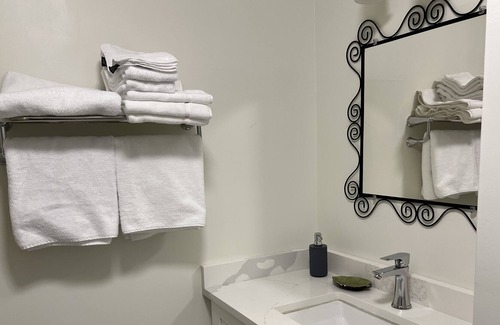 Port Coquitlam House | Skytrain Poco Beautifully Reno'd Ground Level Unit