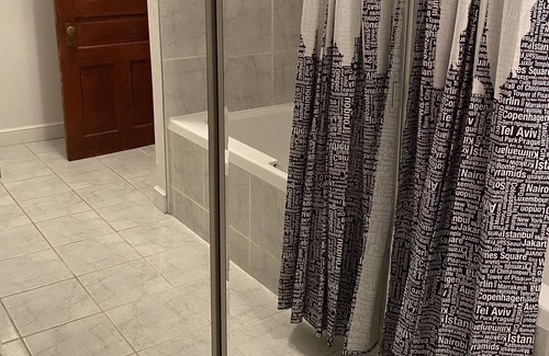 Olde Towne East House | Skyview Penthouse suite