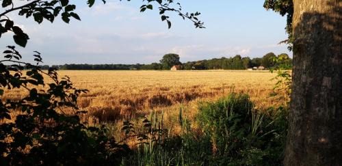 Wedde Other | Slaaphuisjes op wielen BuitenWedde Westerwolde