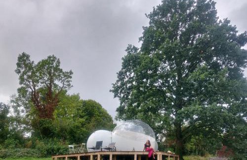 Antheit Other | Sleep in a bubble