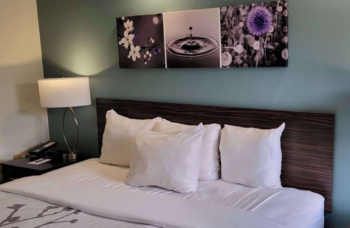 Bessemer Hotel | Sleep Inn Bessemer Helena