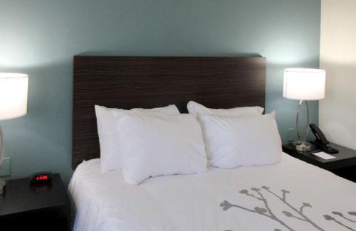 Marion Hotel | Sleep Inn Marion - Cedar Rapids