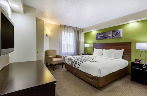 Temple Terrace Hotel | Sleep Inn near Busch Gardens/USF
