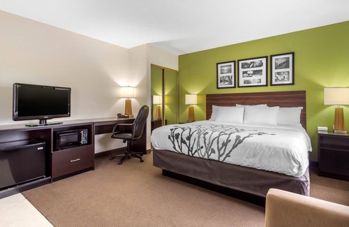 Allendale Hotel | Sleep Inn & Suites Allendale