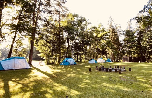 Mozirje House | Sleeping in a wooden hut 'Forest bed' at the river Savinja