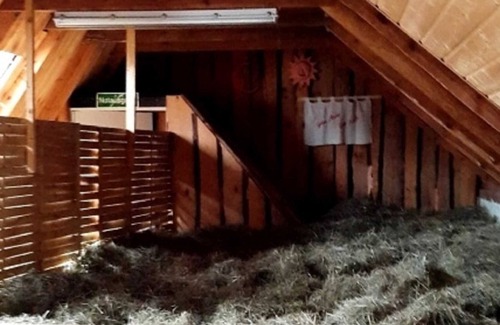 Lauta House | Sleeping in the hay / hay bed - Ferienhof Sarodnick
