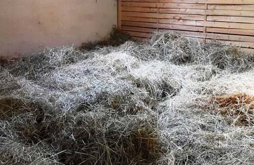 Lauta House | Sleeping in the hay / hay bed - Ferienhof Sarodnick