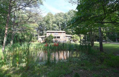 Berkeley Springs House | Sleepy View Retreat - Hot Tub, Trail, Hiking, Pet Friendly, Grill, Wifi, Fire Pit, Screen Porch, Family Friendly, Games, King Bed, Secluded, Fireplace, Pond