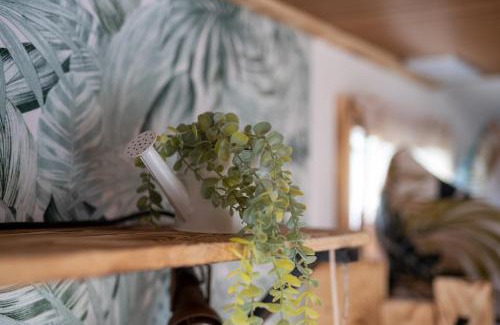 Neustrelitz Apartment | Slow Travel, aber auch gut!