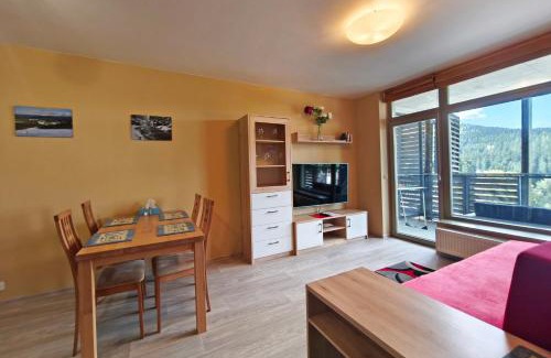 Harrachov Apartment | Slunný dvoupokojový apartmán v centru s nejkrásnějším výhledem v Harrachově a soukromým parkováním v garáži - by Relax Harrachov