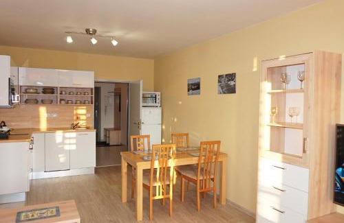 Harrachov Apartment | Slunný dvoupokojový apartmán v centru s nejkrásnějším výhledem v Harrachově a soukromým parkováním v garáži - by Relax Harrachov