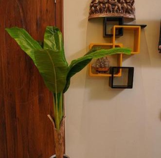 Mangalore Villa | SM Stay Inn