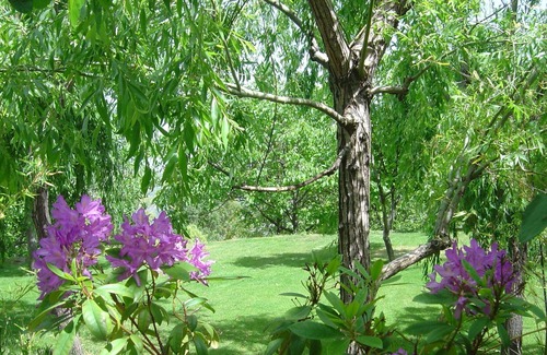 La Taha Apartment | Small complex with pool in the Alpujarras, Granada