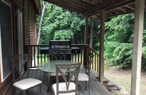 Wetmore Cabin | Small log cabin in the woods