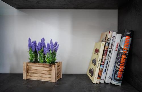 Buon Pastore-Sant'Agnese-San Damaso Apartment | Smart Life House in the heart of Modena
