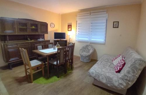 Bajina Basta Apartment | Smeštaj Vesna