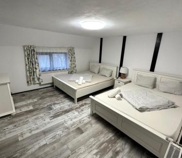 Avrig House | Smiley Rooms