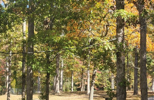 Jasper House | Smith Lake Home - Lake Front on Secluded Slough - Close to Jasper