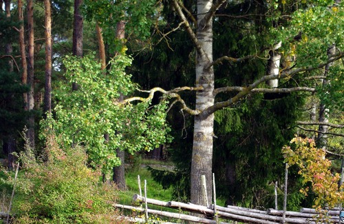 Gamleby House | Smultronboda Fårgård