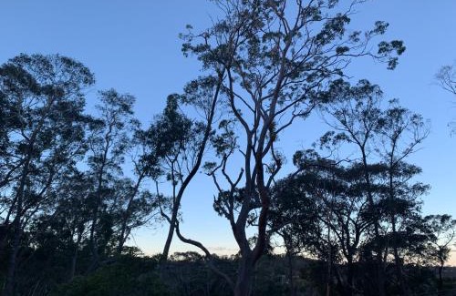 Hazelbrook Bed & Breakfast | Snooty Fox Bed &Breakfast